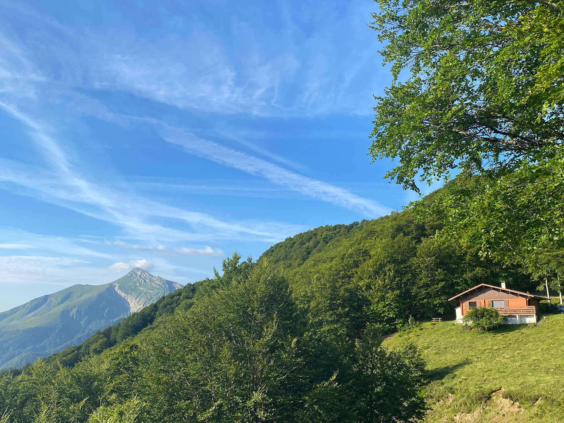 Chalet dans Forêt Iraty