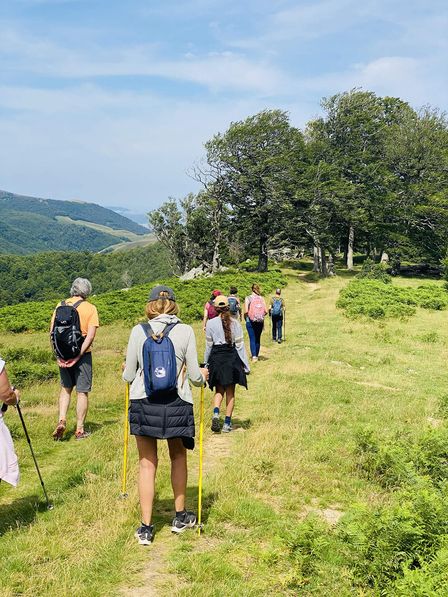 Personnes en marche active dans la forêt d'Iraty