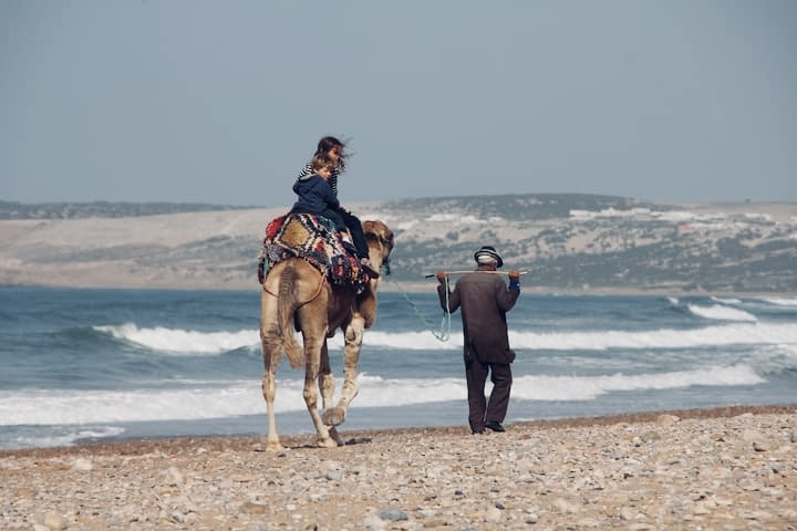 Promenade à Chameau - Plage Essaouira
