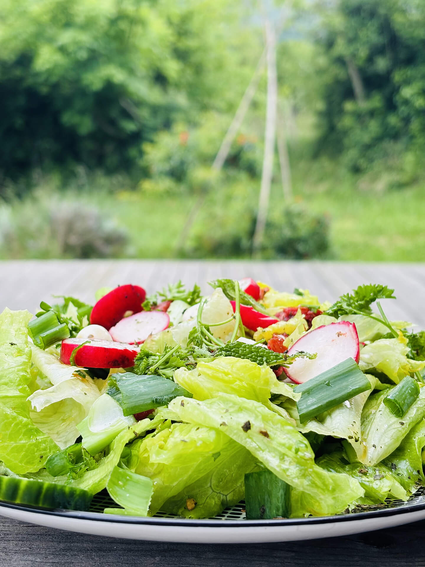 Salade détox face forêt