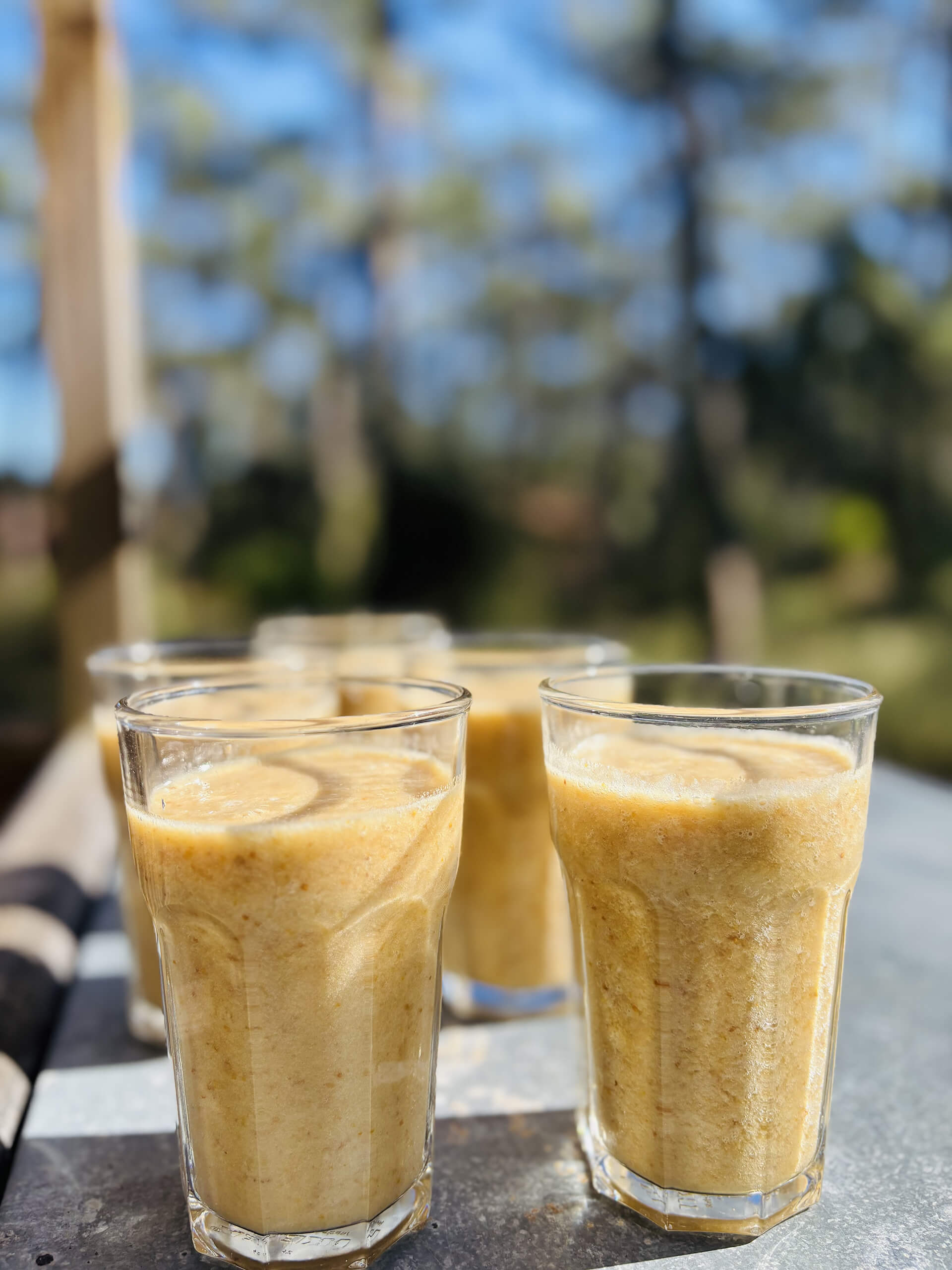 Smotthies jaunes dans forêt des Landes