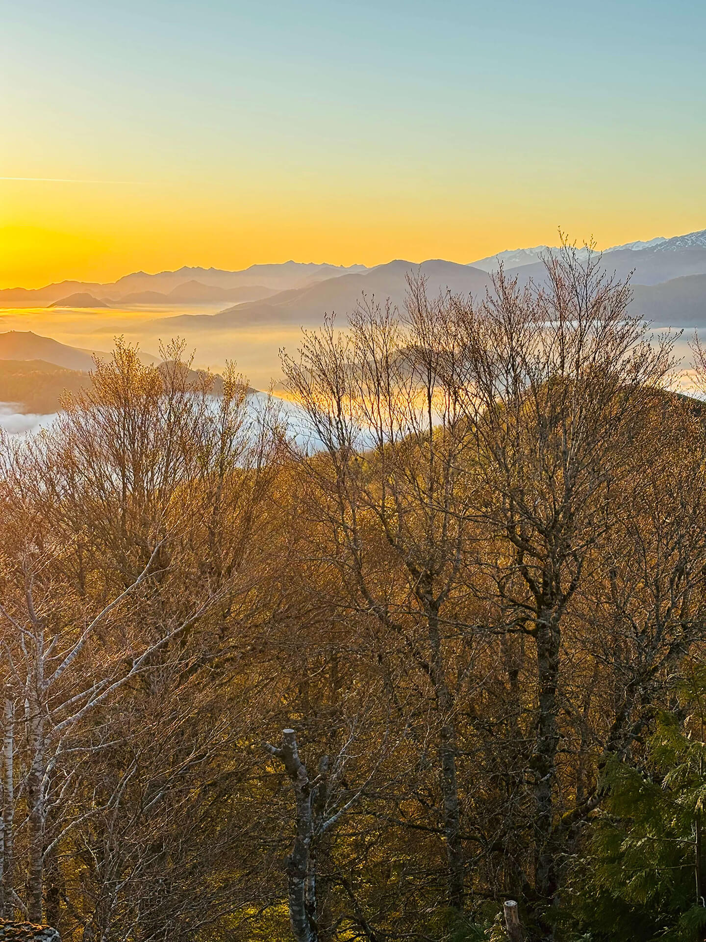 lever soleil foret iraty